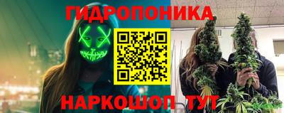 стафф Гагарин