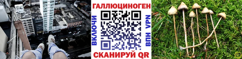 хочу   Кашира  Галлюциногенные грибы мухоморы 