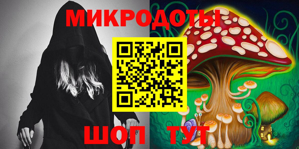 Галлюциногенные грибы Psilocybine cubensis Кашира
